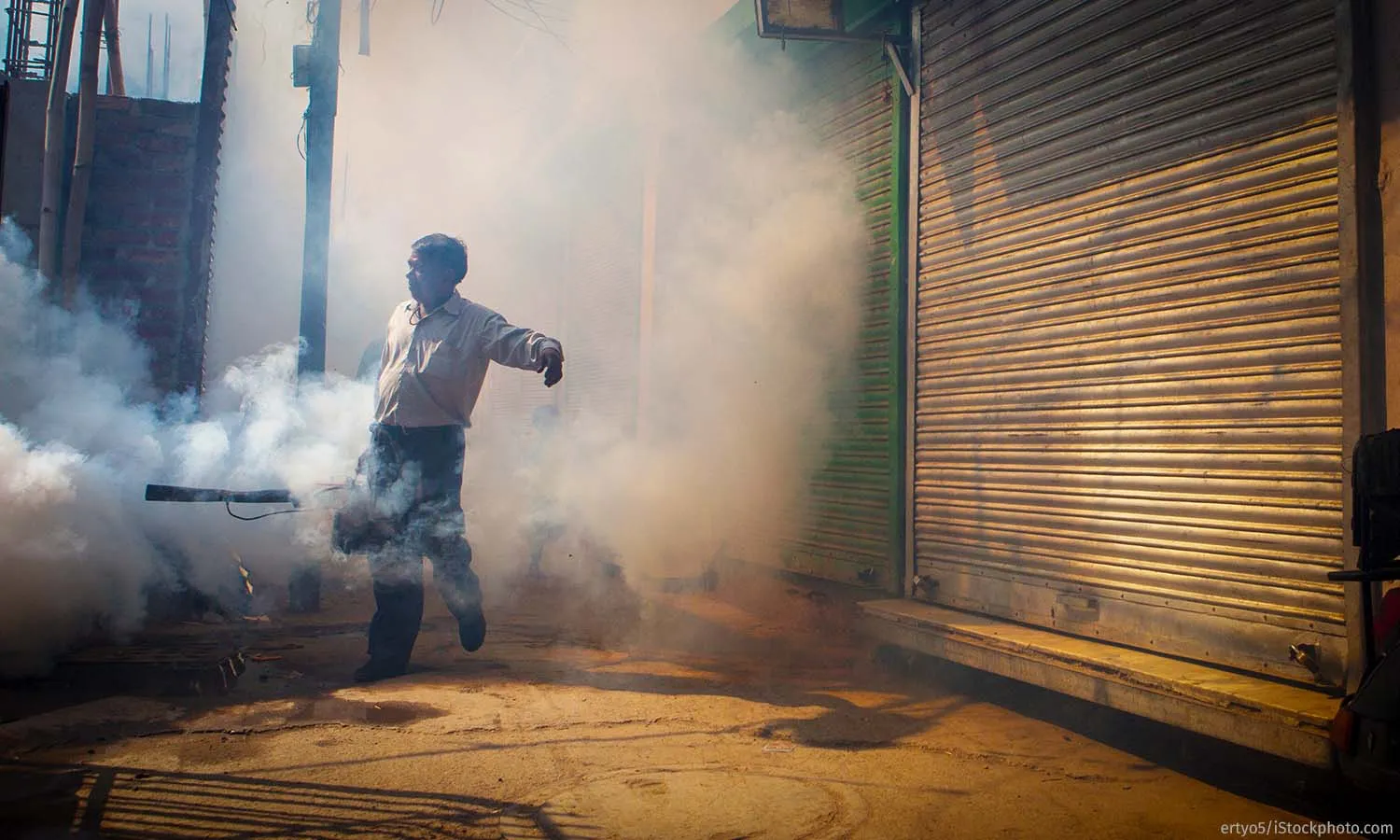 Why UP’s Dengue Cases Have Been Rising Why UP’s Dengue Cases Have Been Rising