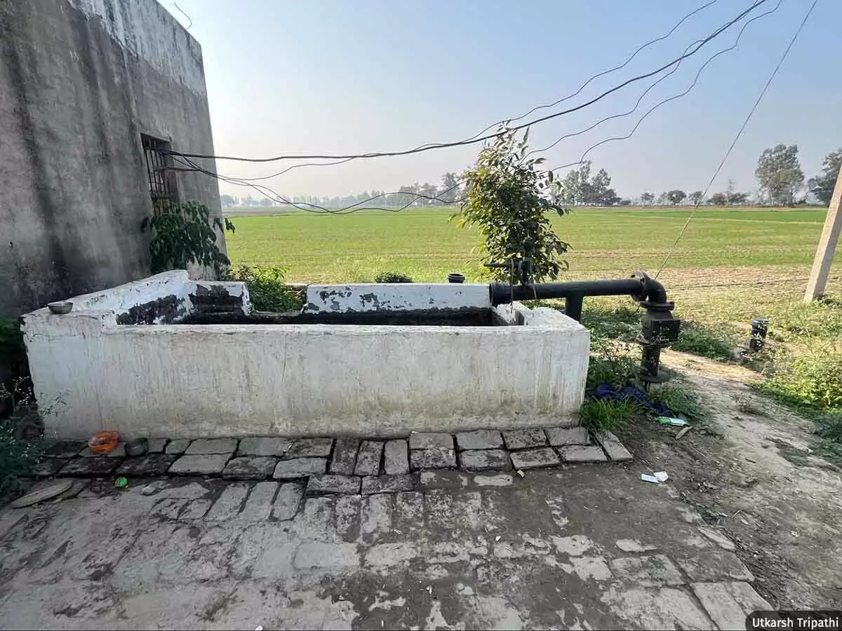 Haryana's Groundwater Crisis Worsened by Subsidised Tubewell Irrigation 2