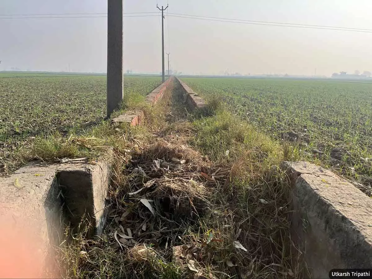 Haryana's Groundwater Crisis Worsened by Subsidised Tubewell Irrigation 3