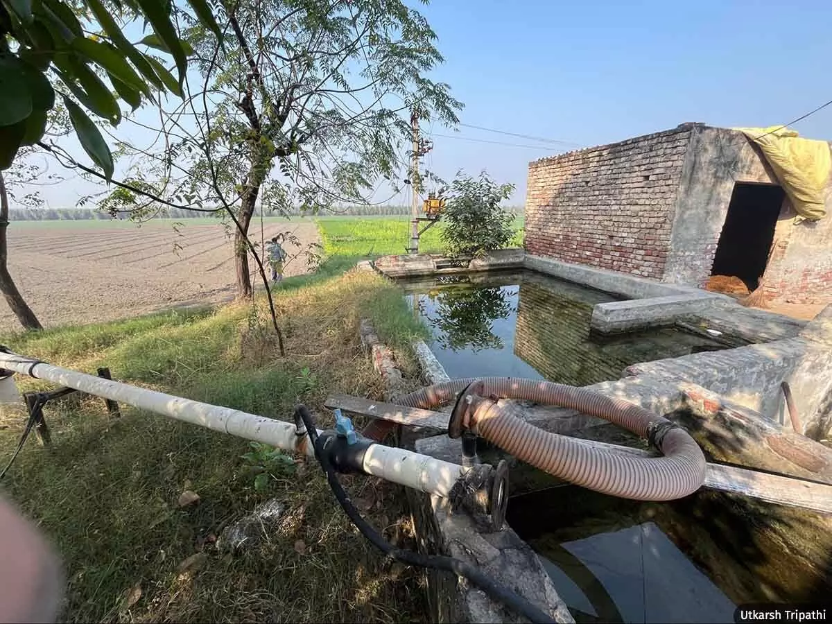Haryana's Groundwater Crisis Worsened by Subsidised Tubewell Irrigation 4