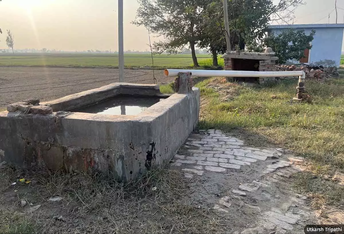 Haryana's Groundwater Crisis Worsened by Subsidised Tubewell Irrigation 5