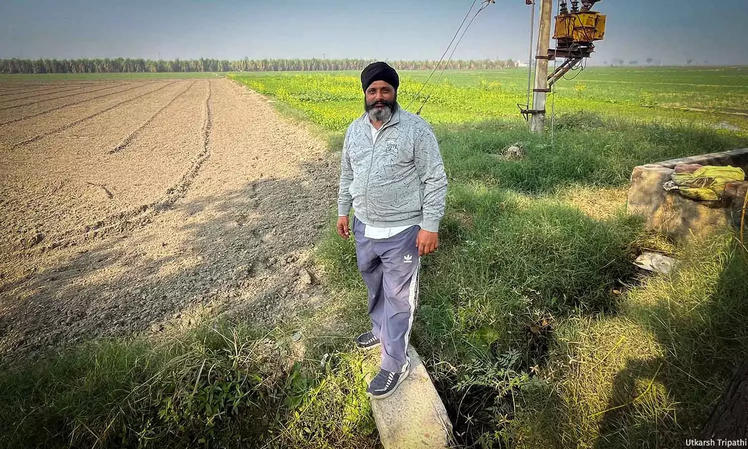 Haryanas Groundwater Crisis Worsened by Subsidised Tubewell Irrigation Haryanas Groundwater Crisis Worsened by Subsidised Tubewell Irrigation