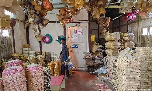 Why India Is Struggling To Be A World Leader In Bamboo Why India Is Struggling To Be A World Leader In Bamboo