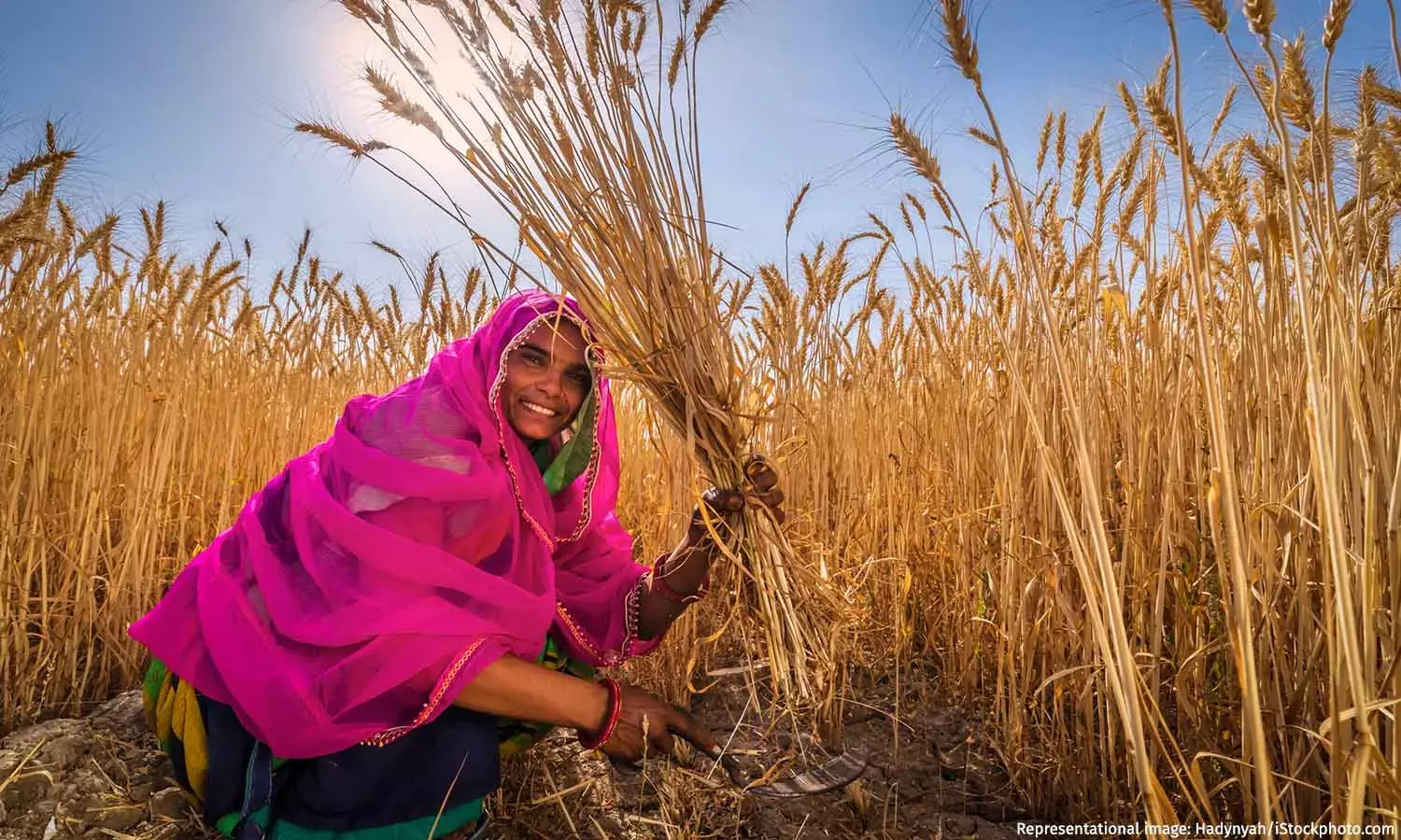 How Warmer Spring Impacts Harvest, Health How Warmer Spring Impacts Harvest, Health