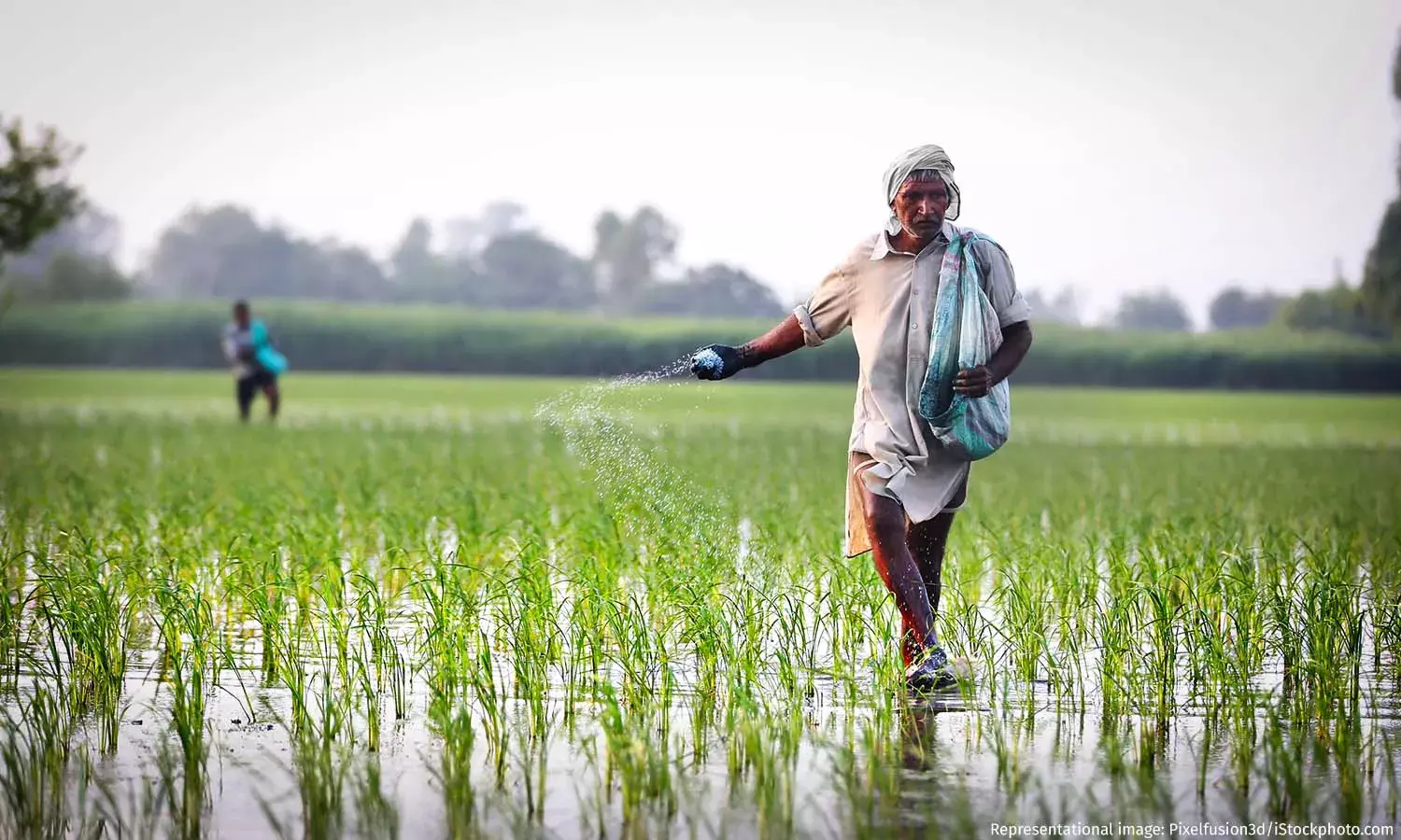 Why India’s Fertiliser Subsidy Bill Is Unsustainable Why India’s Fertiliser Subsidy Bill Is Unsustainable