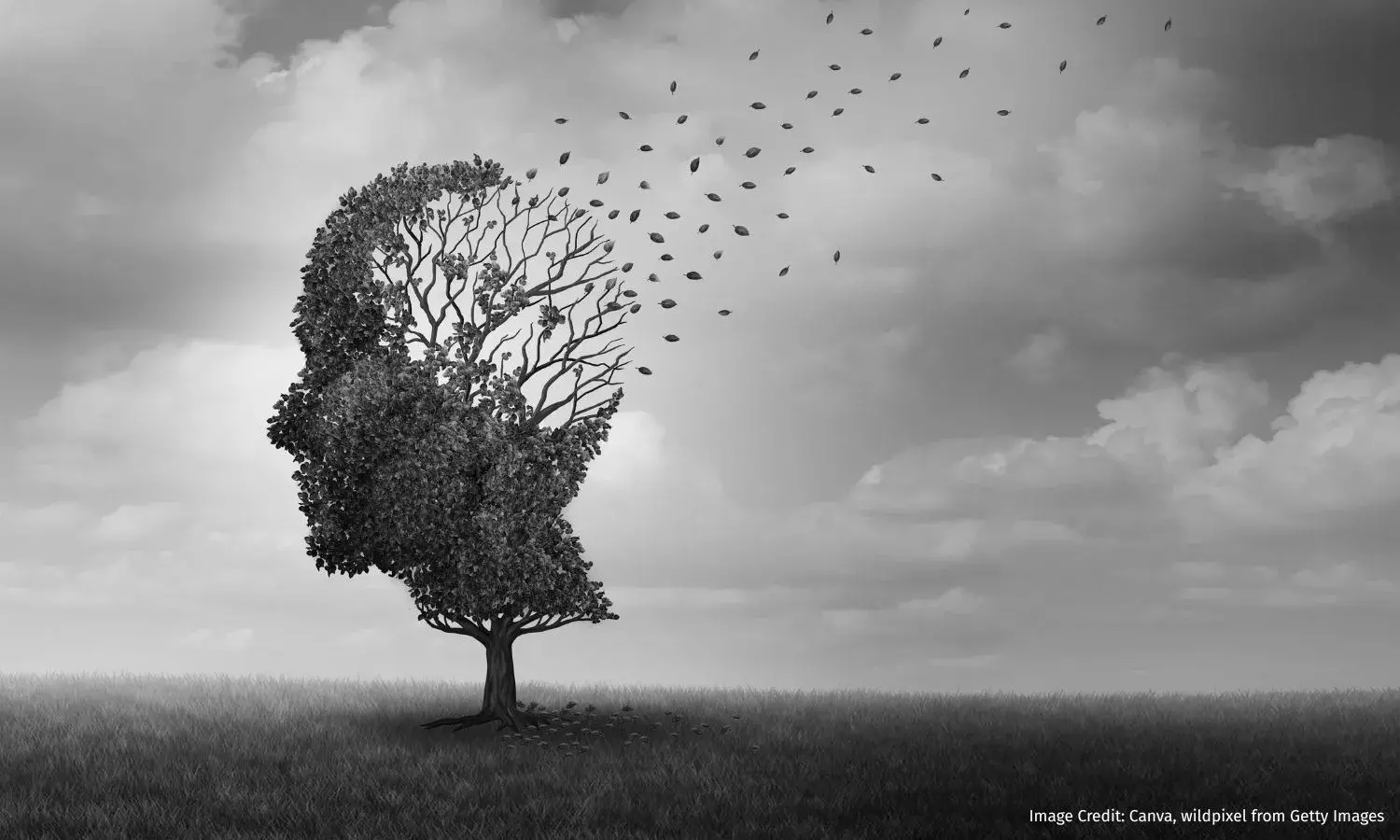 The Long Forgetting: Inside India’s Dementia Emergency The Long Forgetting: Inside India’s Dementia Emergency