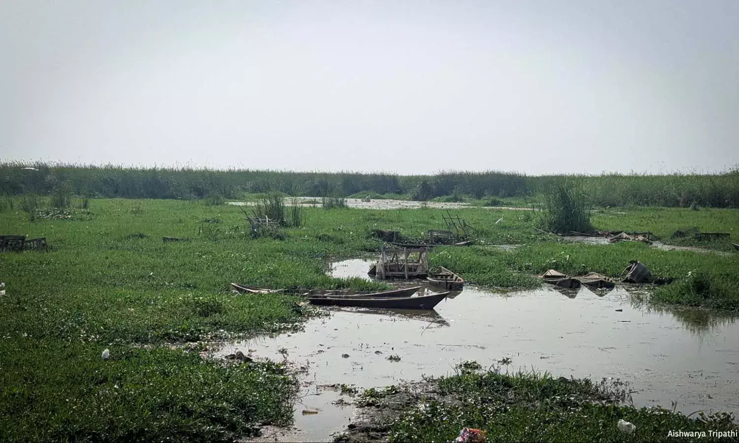The Challenges In UP’s Wetland Conservation The Challenges In UP’s Wetland Conservation