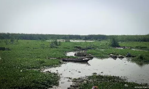The Challenges In UP’s Wetland Conservation The Challenges In UP’s Wetland Conservation