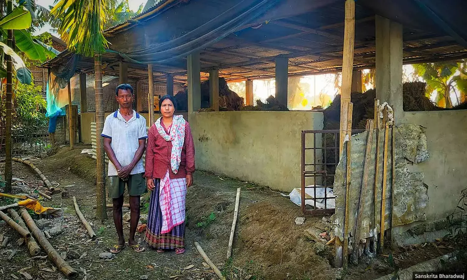 How African Swine Fever, Policy Gaps Are Devastating Assam’s Pig Farmers