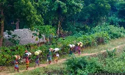 What’s Ailing India’s Green Credit Programme?