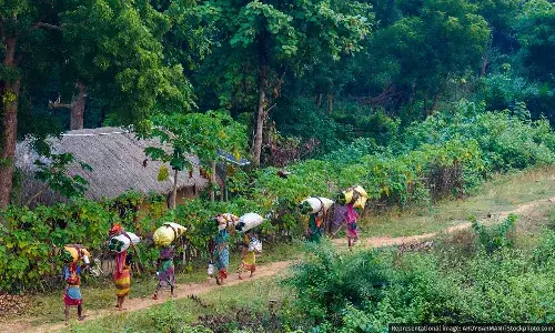 What’s Ailing India’s Green Credit Programme? What’s Ailing India’s Green Credit Programme?