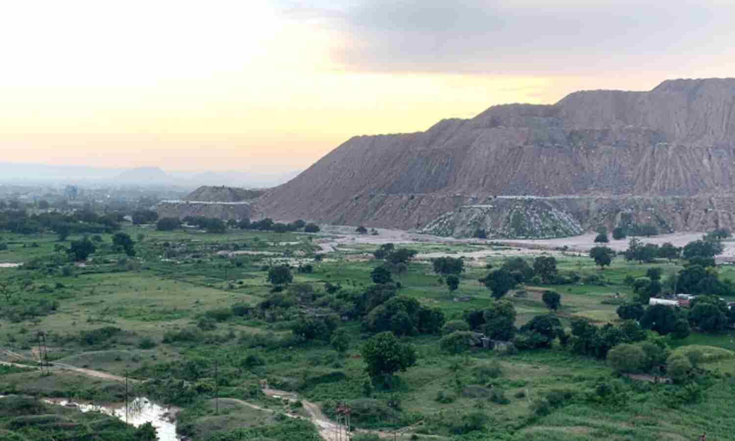 This Coal Plant Endangers Forests, Wildlife, People. And India Doesnt Even Need It, Experts Say This Coal Plant Endangers Forests, Wildlife, People. And India Doesnt Even Need It, Experts Say