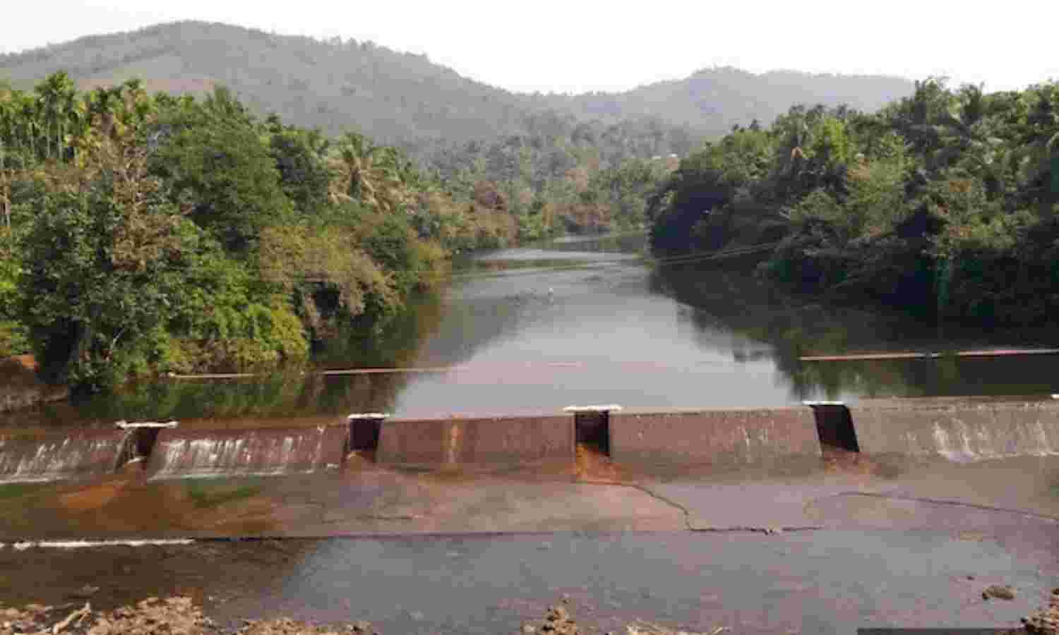 India Could Reduce Flood Damage By Expanding Forest Cover: New IIT Study