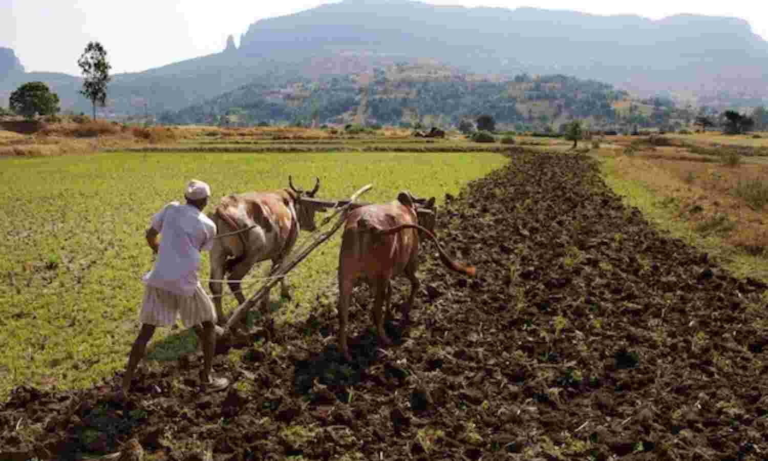 As India Warms, Farm-Suicide ‘Epidemic’ Will Worsen: US Scientist Advises ‘Urgent’ Action