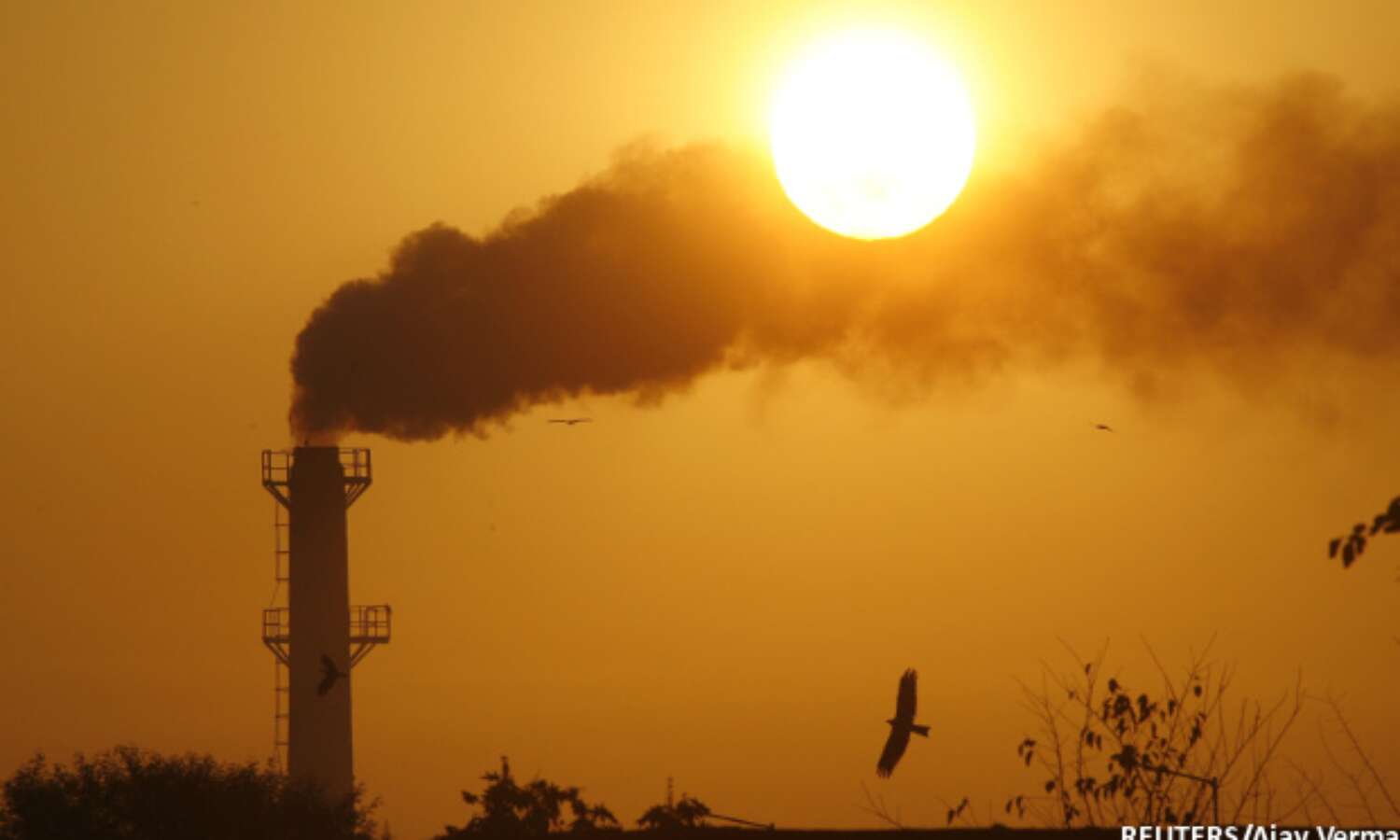 Star Power: Maharashtra Starts Rating Industries By Emissions