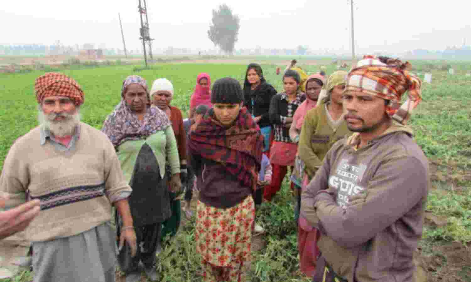 Drugs, Despair And Decline Fuel Demand For Change In Punjab