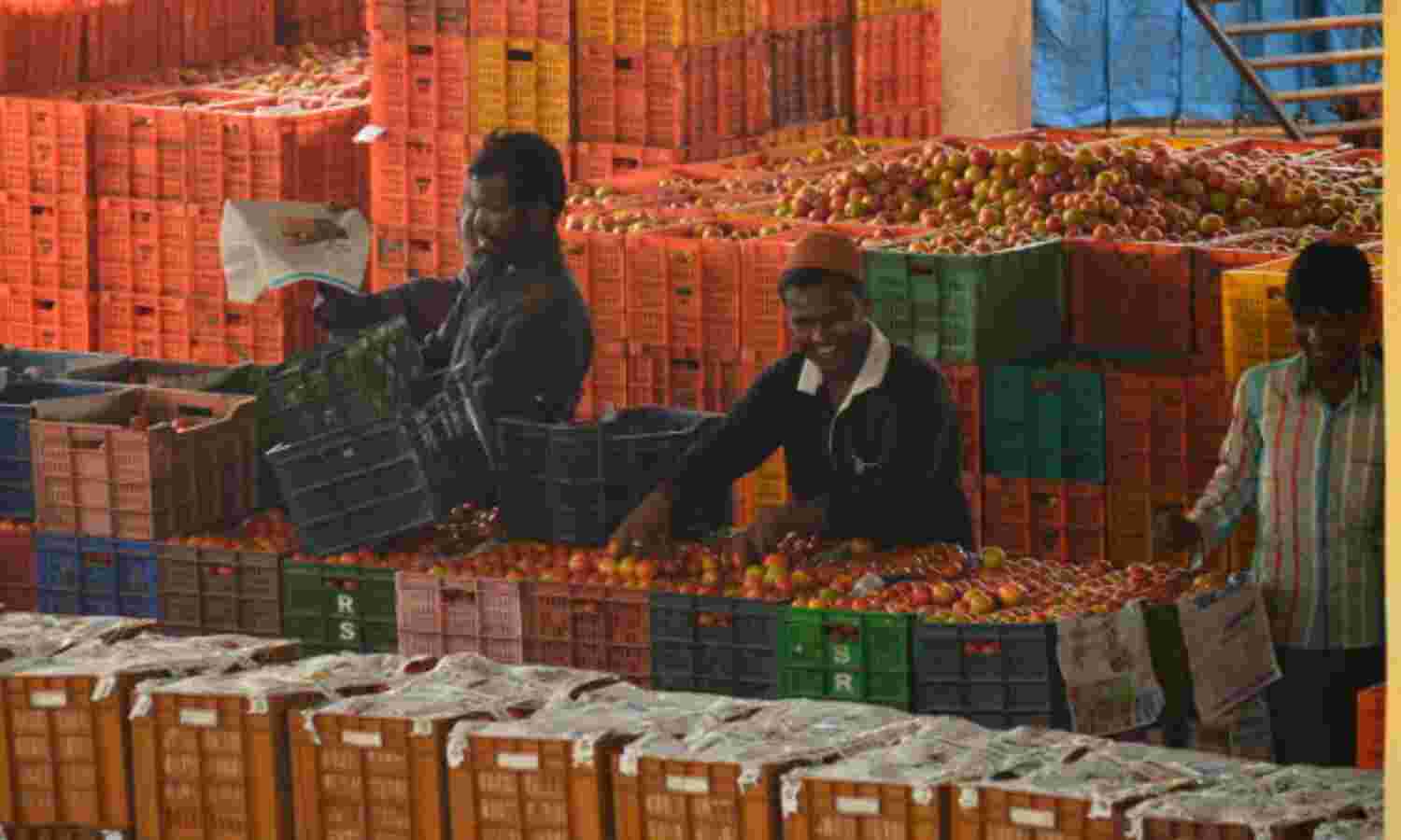 Too Many Vegetables, Too Little Money: Prices Crash Post #Notebandi