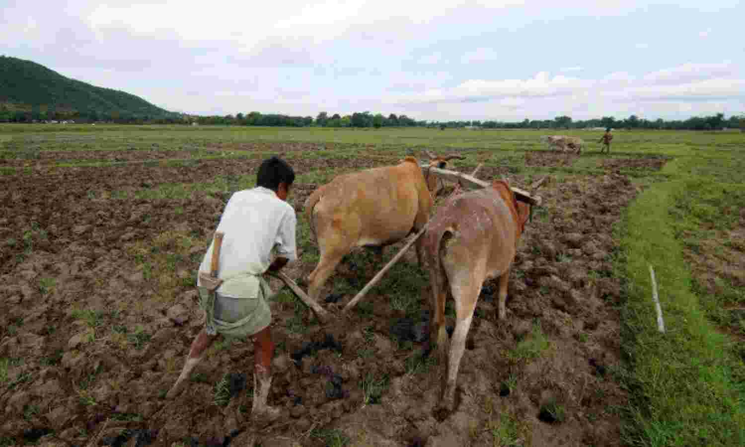 Farmer Suicides Up 42% In 2015, Second Consecutive Drought Year