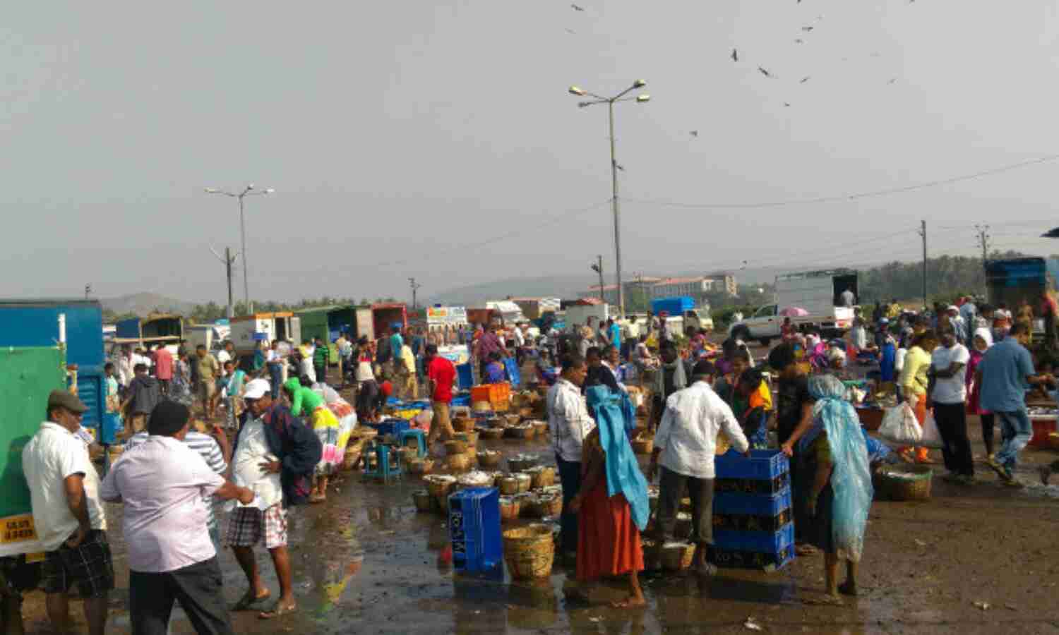 #Notebandi Frontlines: Sales Fall, Anger Rises--Why The Fishing Industry Can’t Go Cashless