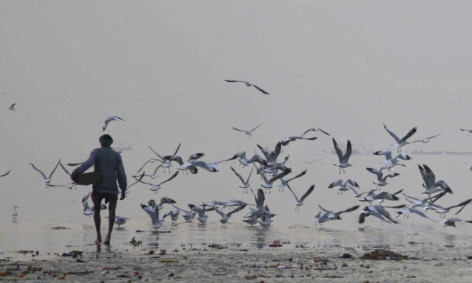 Varanasi, Allahabad Air Breached WHO Pollution Limits Almost Every Day In August