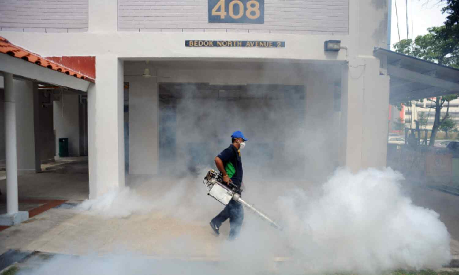 Zika Heads For India, Older Strain Lurks Since 1952