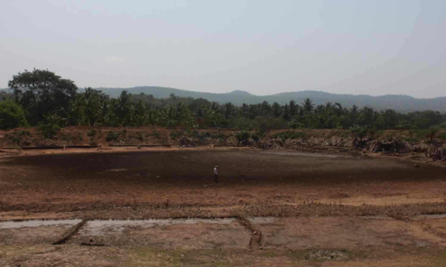 Behind Karnatakas Anger: Rainfall Deficits In 90% Of State