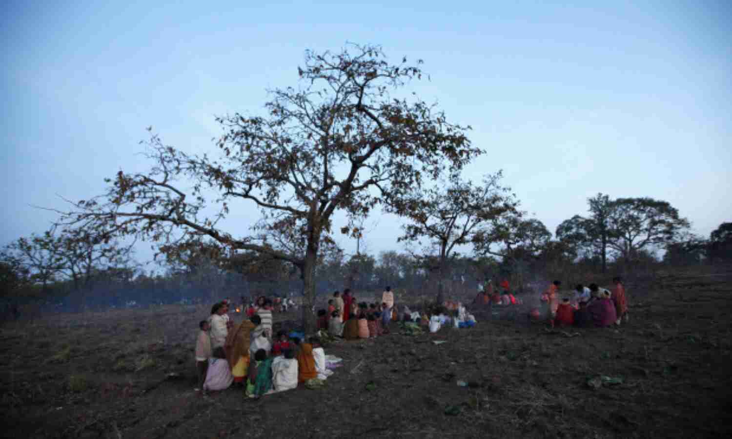 Only 6% Compensation To Repair Destroyed Forests (Mis) Used