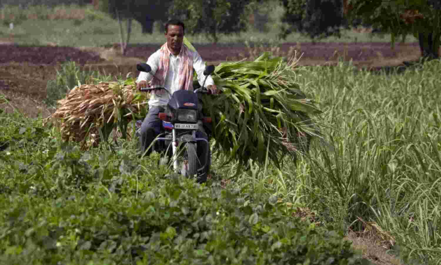 How Water Inequality Governs Drought-Hit Maharashtra