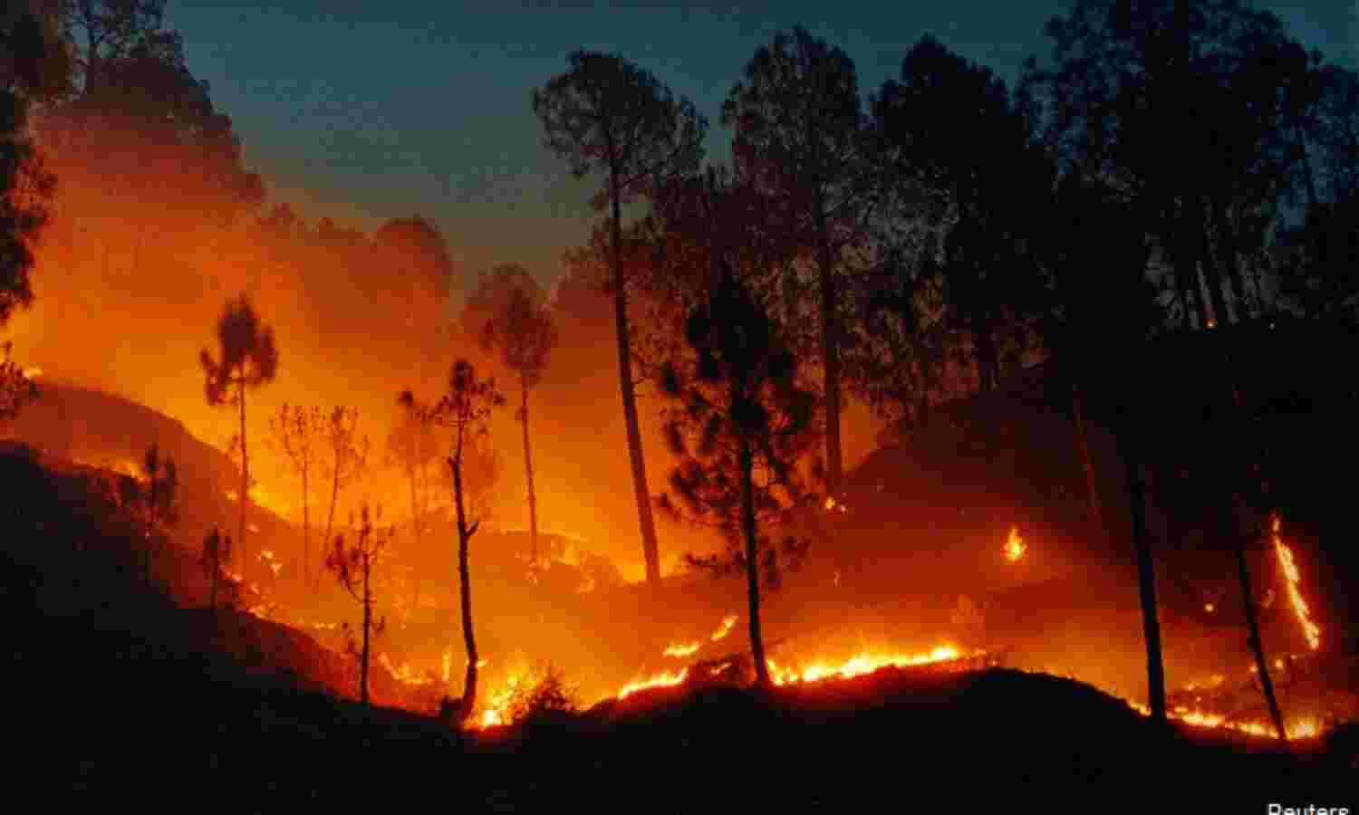 Forest Fires Surge 30% In 2016