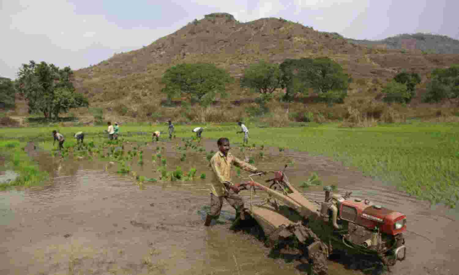 Land Reforms Fail, 5% Of India’s Farmers Control 32% Land