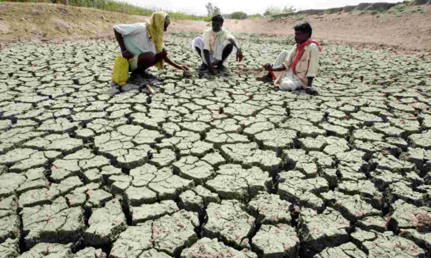 Cereal Output To Fall 41%, Pulses 11%, Maharashtra Farm Crisis Deepens