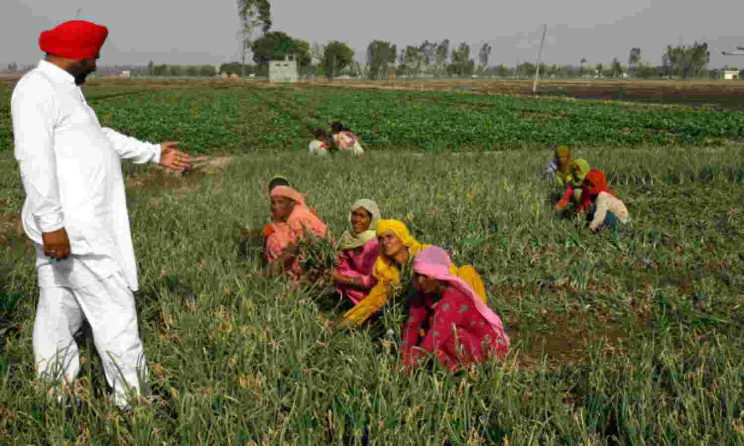 Farmers Tax Exempt—So Is Company With Rs 215-Cr Profit
