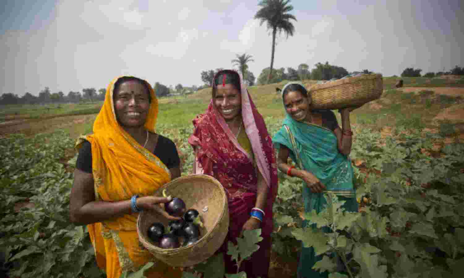5 Key Lessons About Women And Work In India