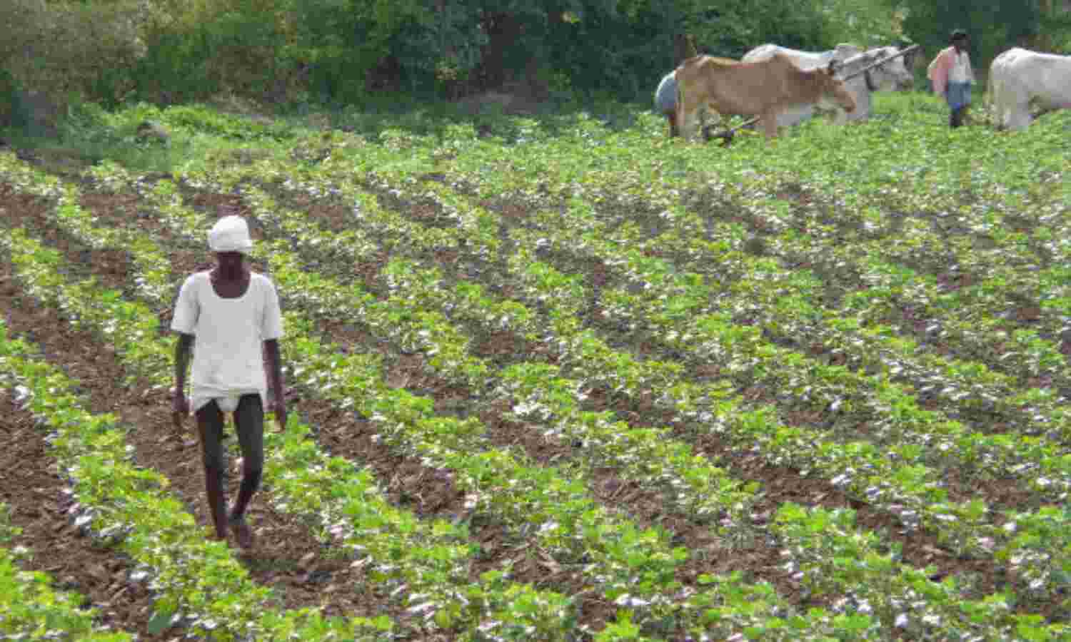 Record Farm Funding, Up 84%; Crises Also Record-Breaking