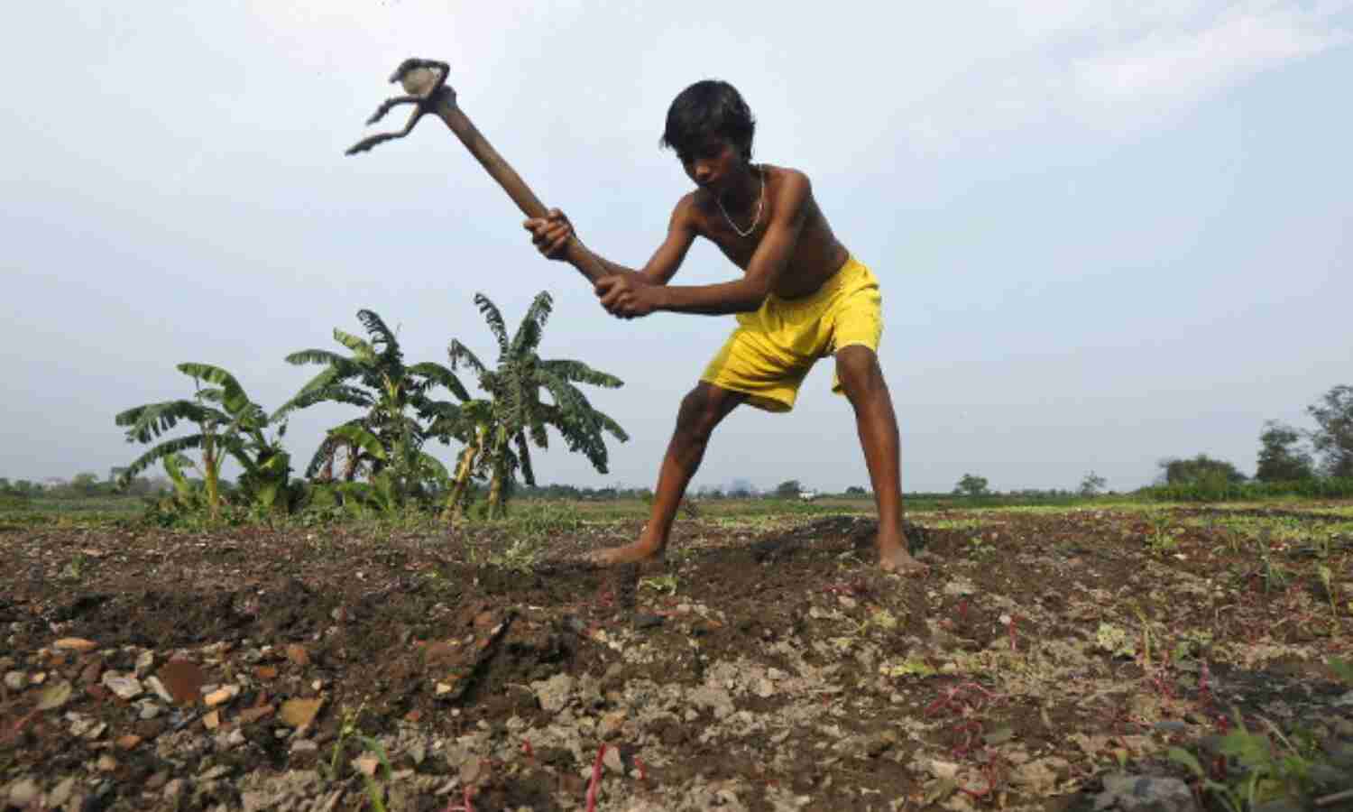 Jobs, Rural Development, Social-sector Investment--Budget 2016s Focus