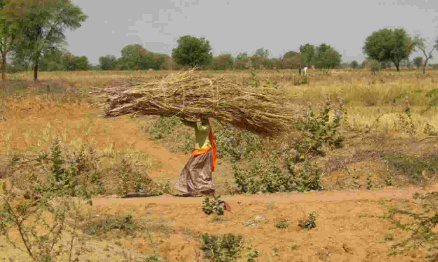 No Drought In India--Yet--But Rains Stay Away