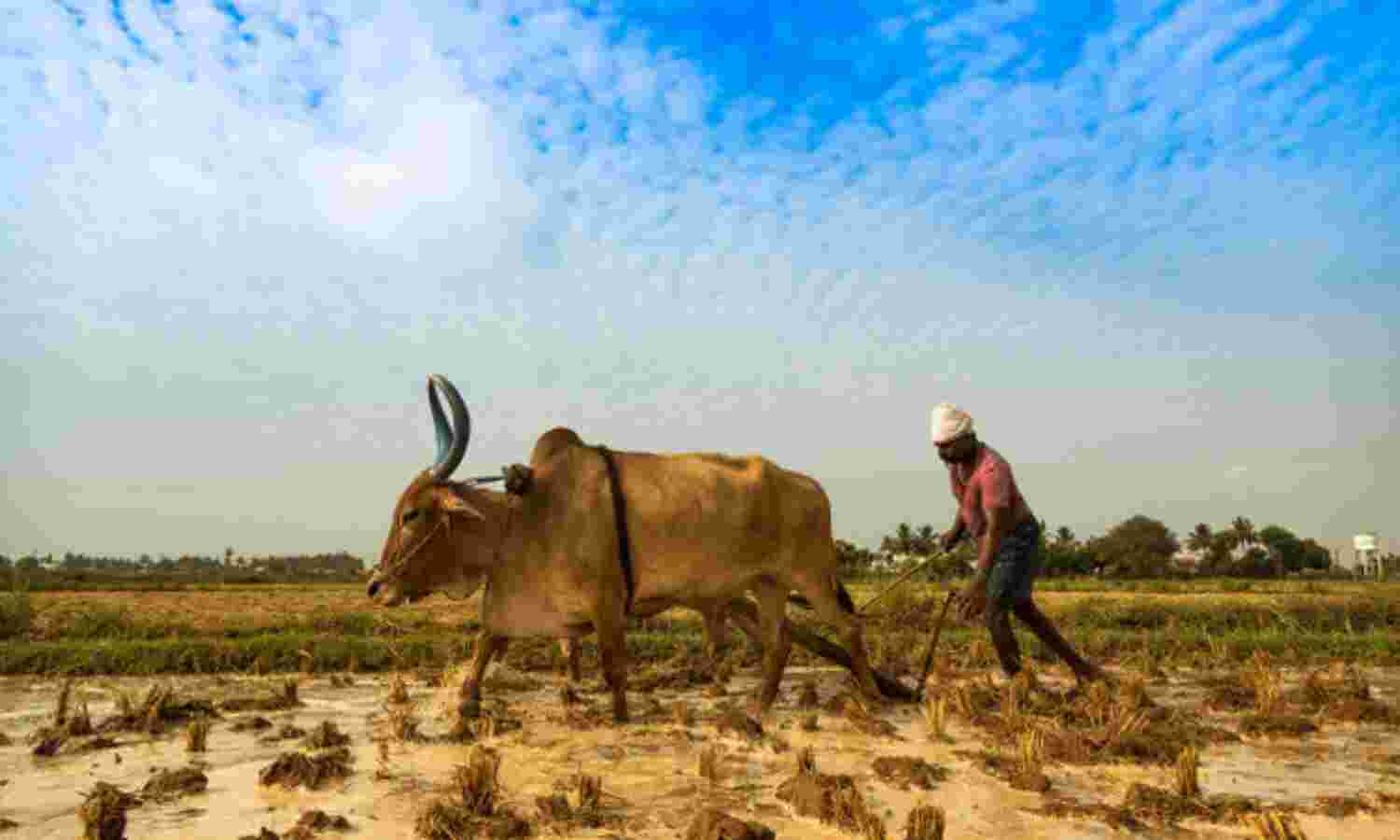 Indias Real Skills Challenge: 263 Million Farm Workers
