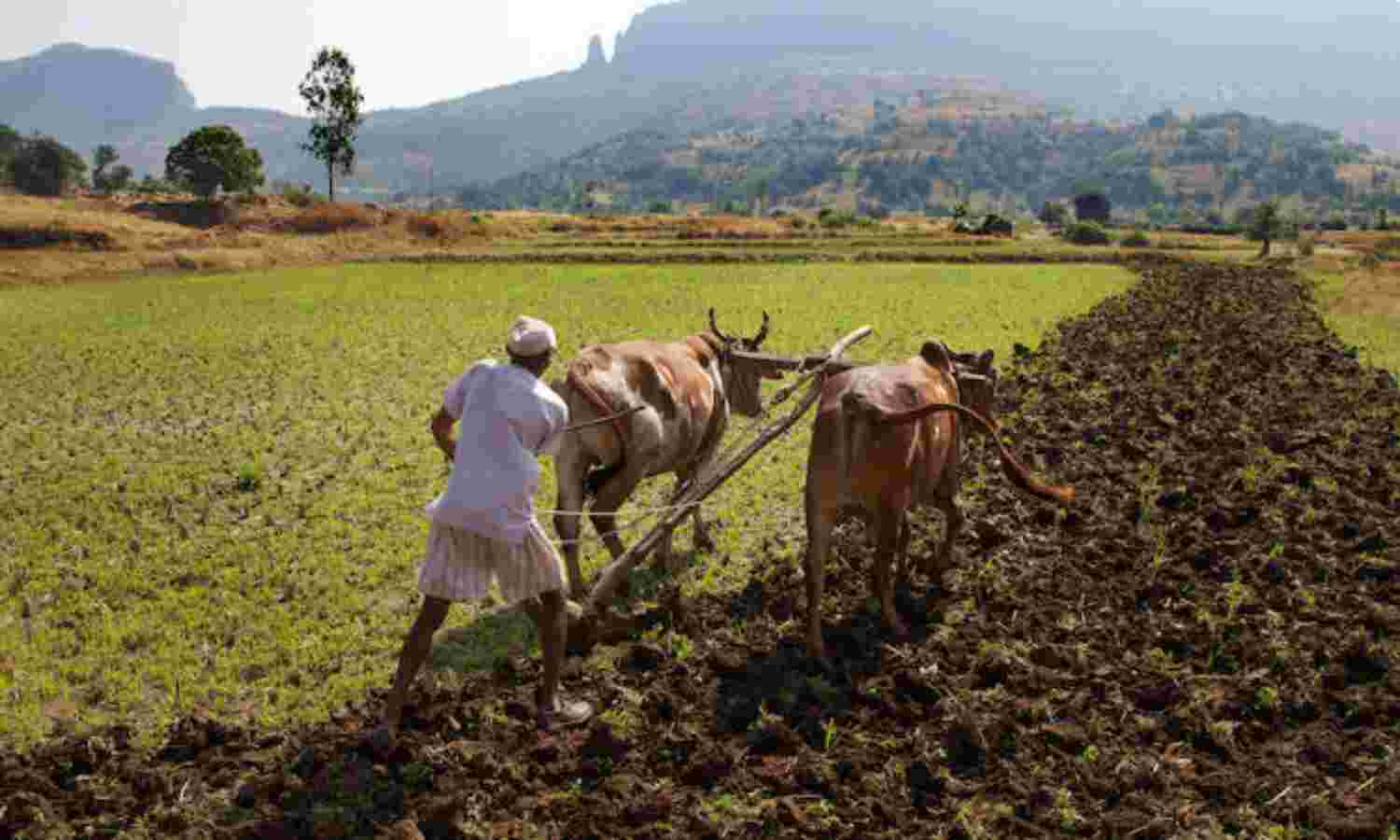 Dodgy Data: Farm Suicides Drop 67% In 6 Years