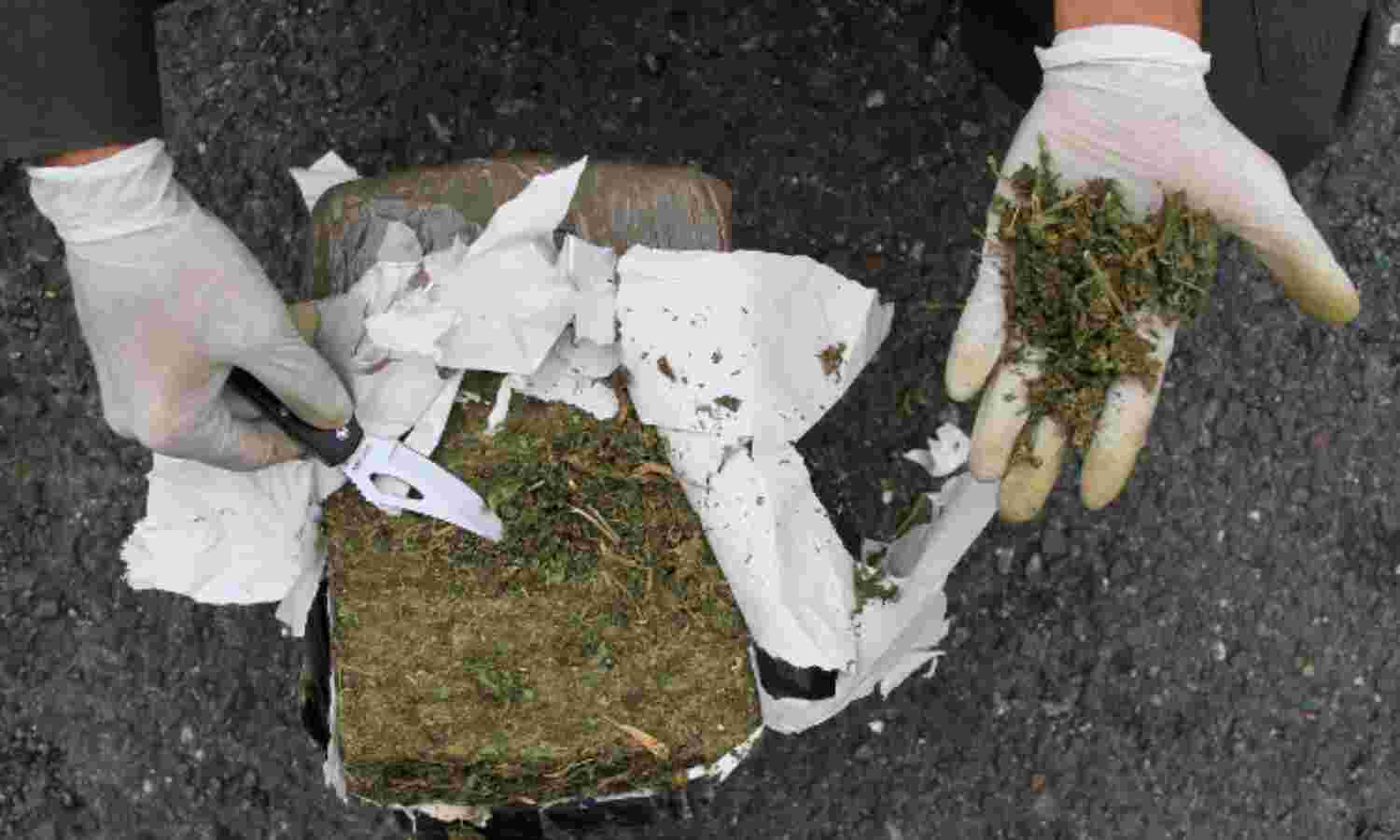 Indias Soaring Drug Problem: 455% Rise In Seizures
