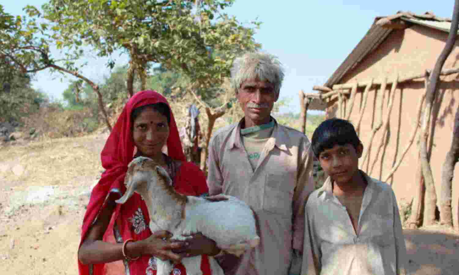 Goats and More: An Anti-Poverty Guide For Modi