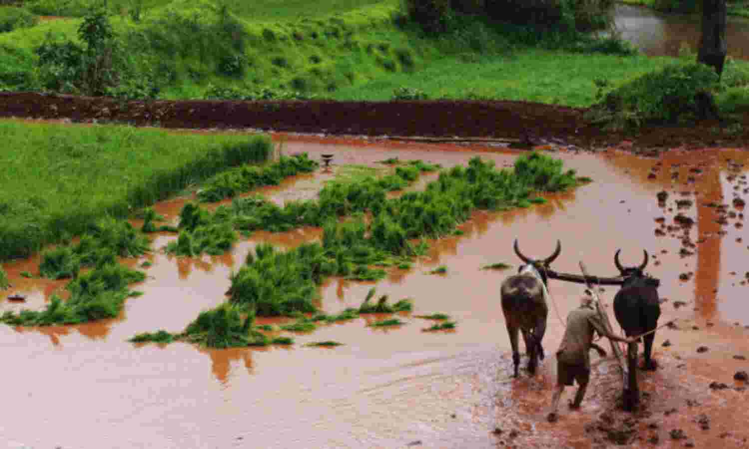 For India’s Farmers, Harder Life Ahead: Latest Studies