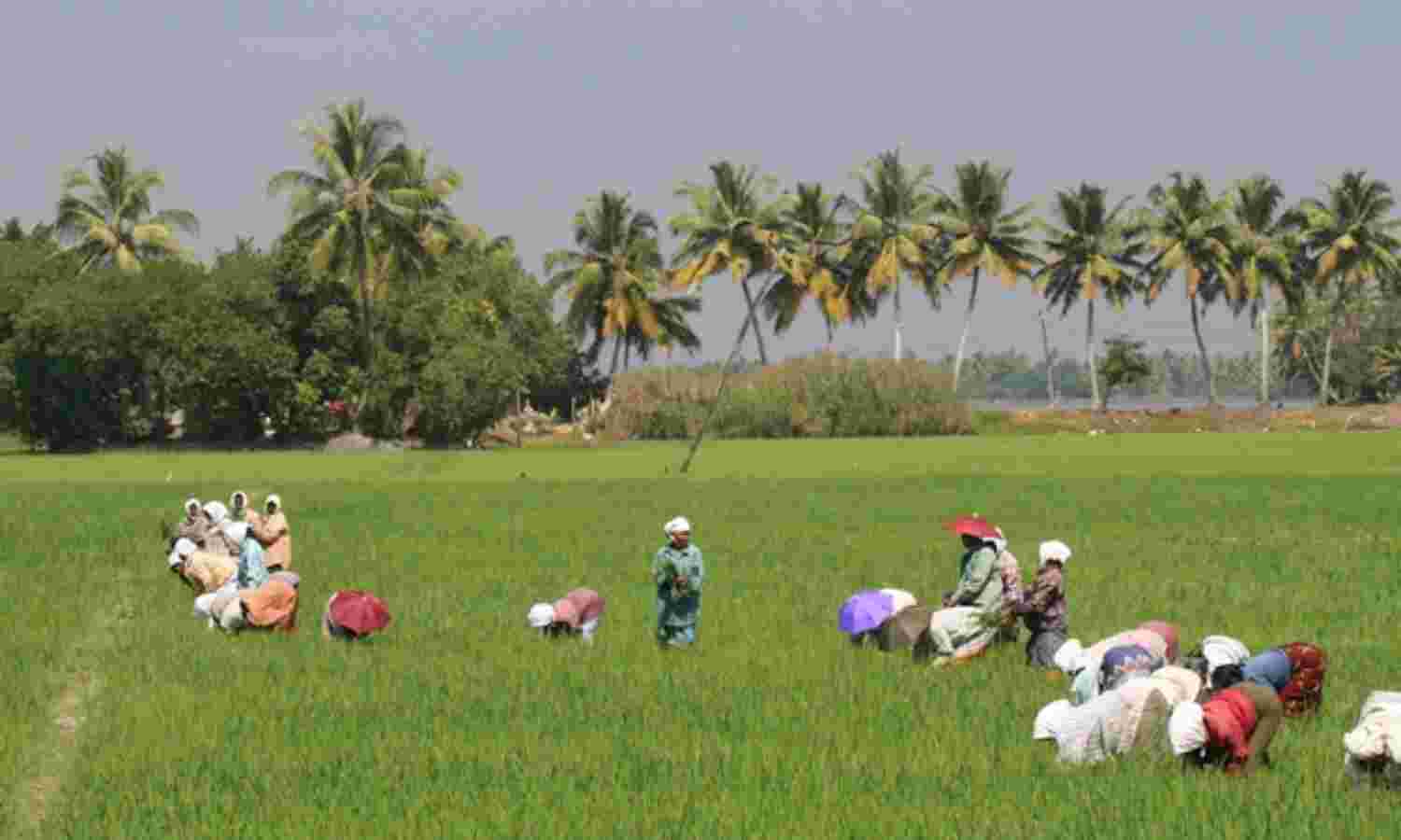 Kerala’s New Gambit: Pay Interest On Agri Loans