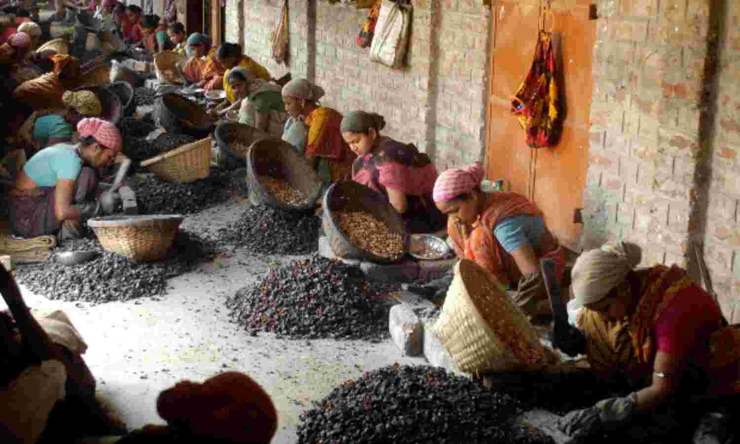 Jobs For Women: Why India Does Worse Than Somalia