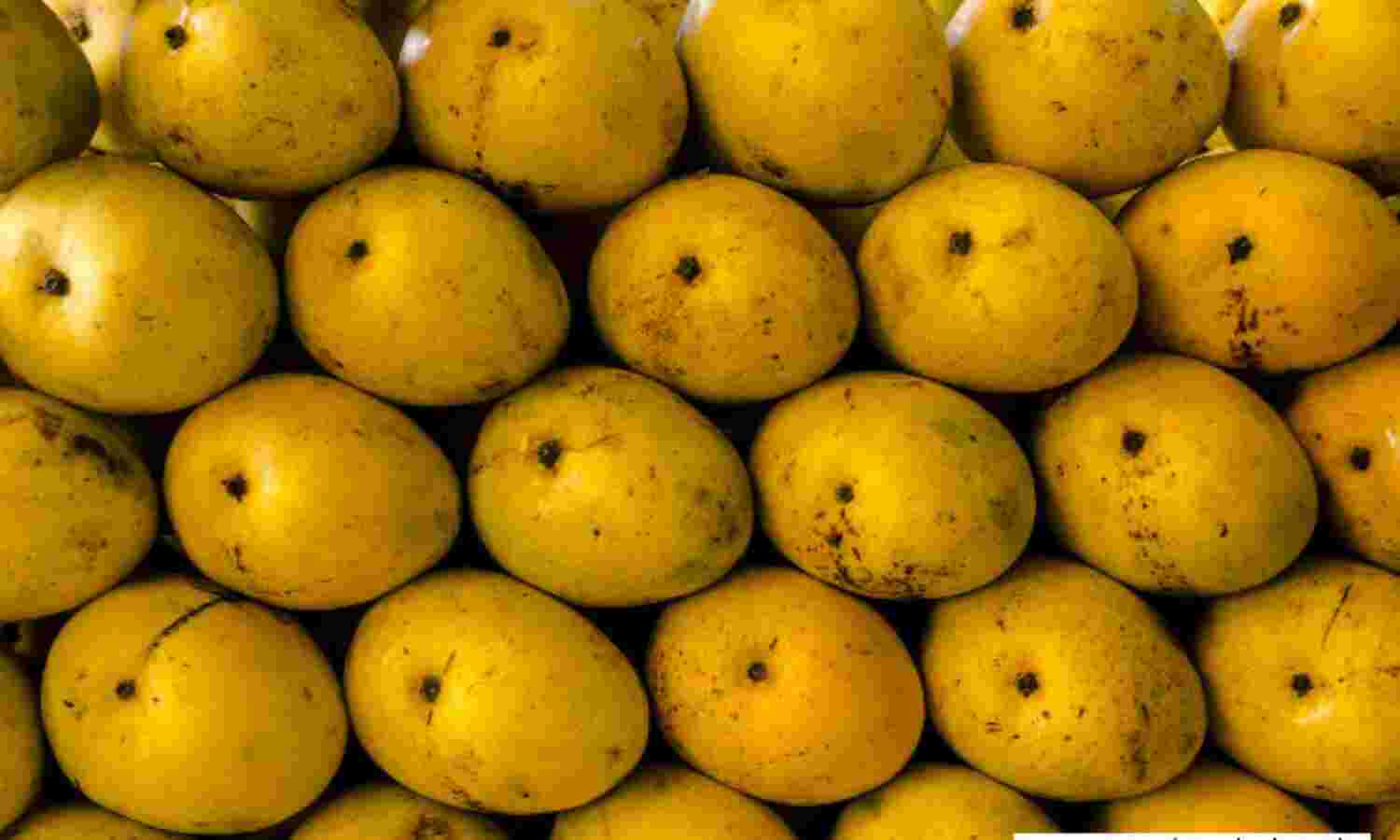 Bad News, Mango Lovers. Good News, India