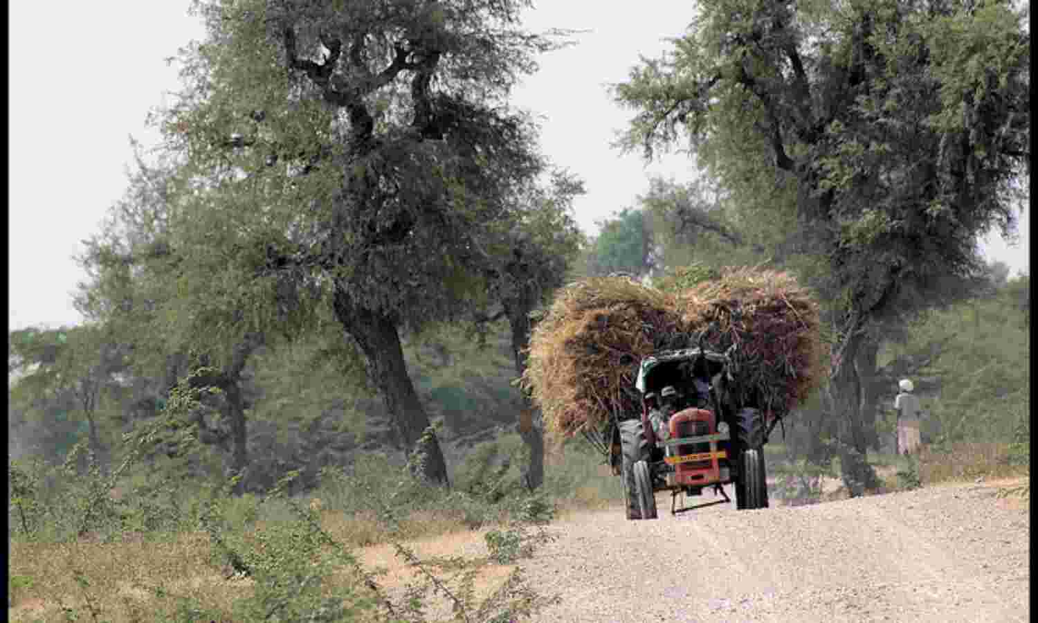 India’s States See 10-Fold Jump In Grants ToRs 259,000 Crore On Modi Devolution Promise