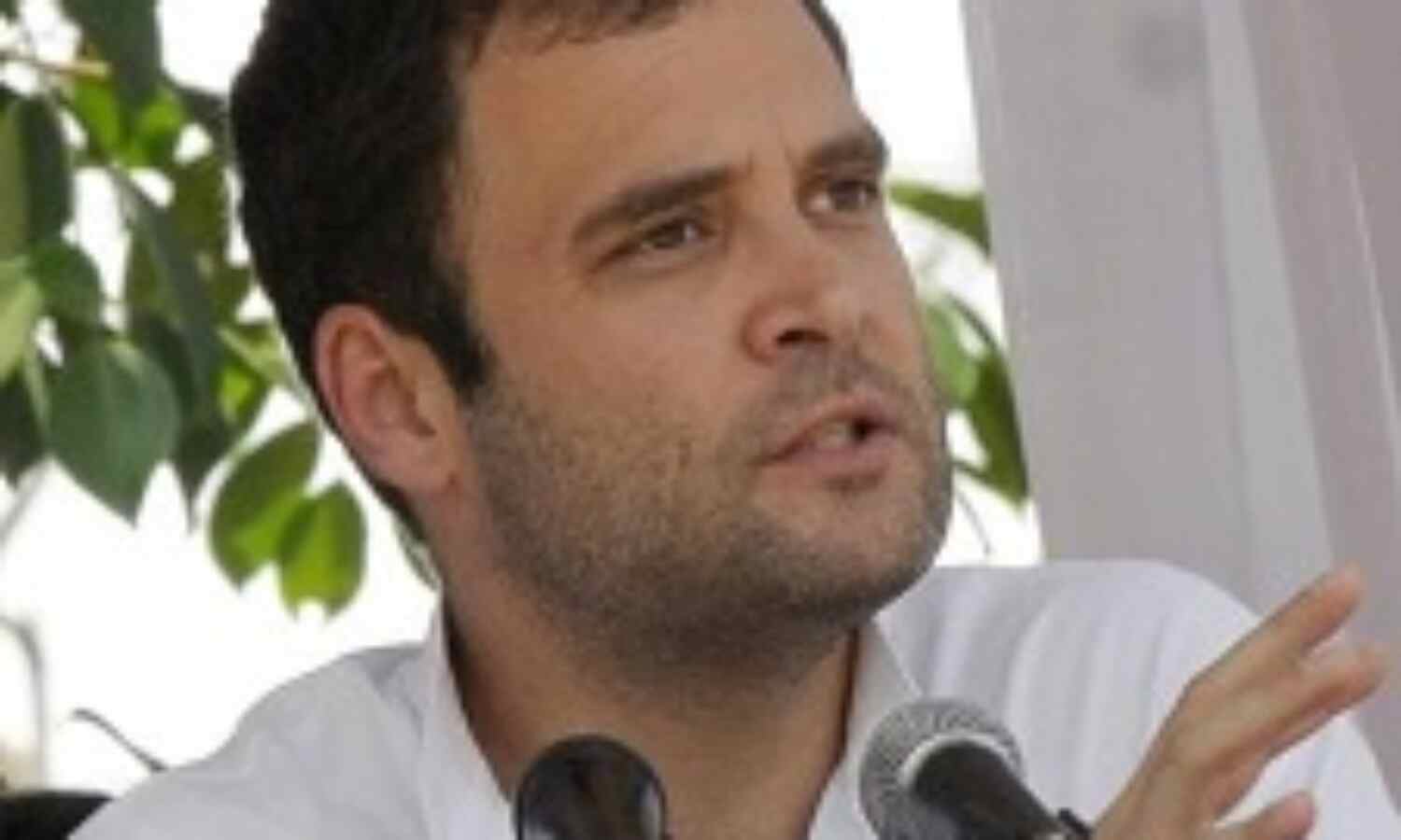Fact Check: Rahul Gandhi’s Claim That Rajasthan Added 7,000 MW in 5 Years