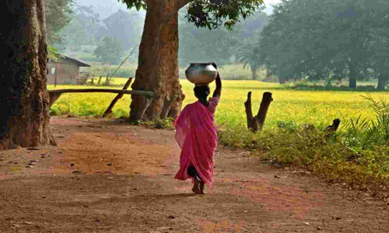Do Stable State Governments Perform Better? The Chhattisgarh Story