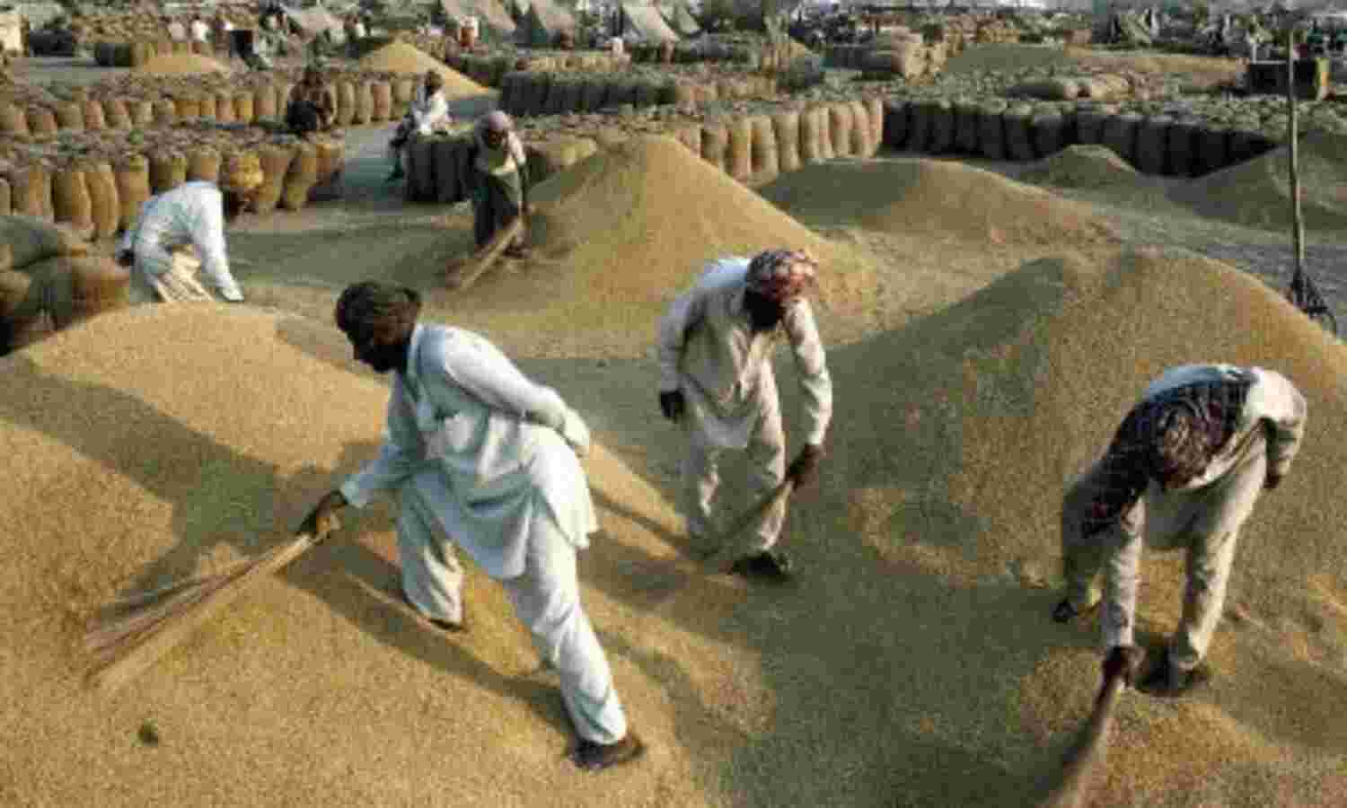 FCI: Understanding A Behemoth