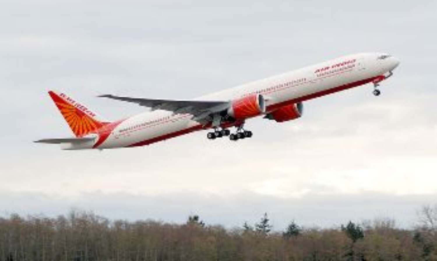 Flight To Losses