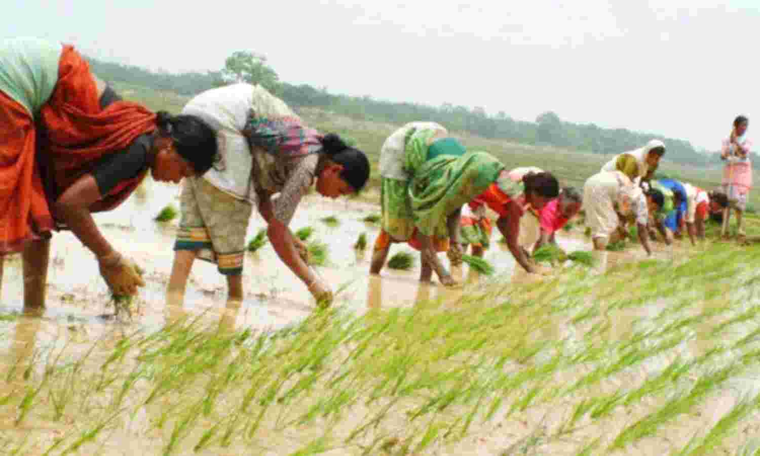Why Bihar’s Miracle Story Might Be Short-Circuited